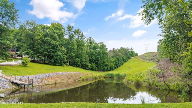 4349 Calderwood Hwy, Maryville, TN 37801 - photo 7