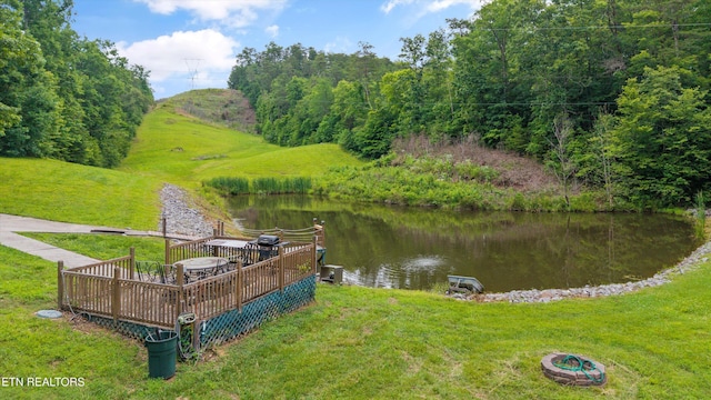 4349 Calderwood Hwy, Maryville, TN 37801 - photo 6