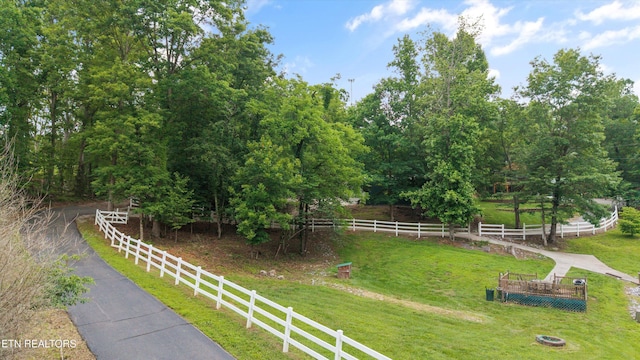 4349 Calderwood Hwy, Maryville, TN 37801 - photo 4