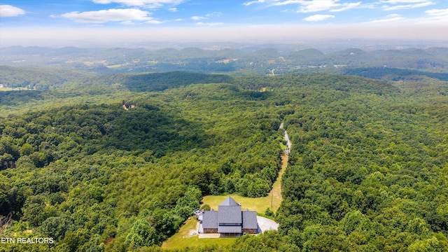 3771 Eagle Ridge Rd, Maryville, TN 37803 - photo 60