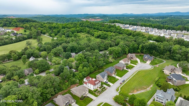 12501 Cotton Blossom Ln, Knoxville, TN 37934 - photo 36