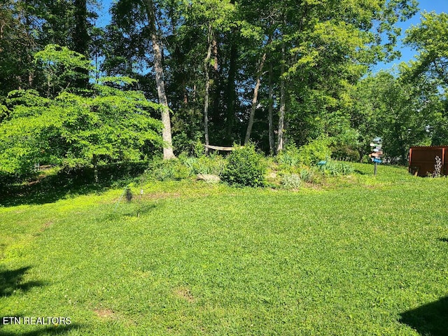 131 Chestnut Hill Rd, Oak Ridge, TN 37830 - view of grassy yard