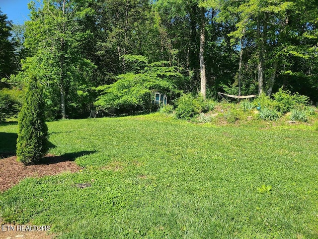 131 Chestnut Hill Rd, Oak Ridge, TN 37830 - view of grassy yard