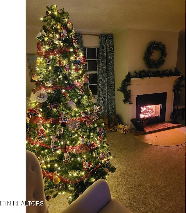 131 Chestnut Hill Rd, Oak Ridge, TN 37830 - living area featuring a multi sided fireplace and carpet