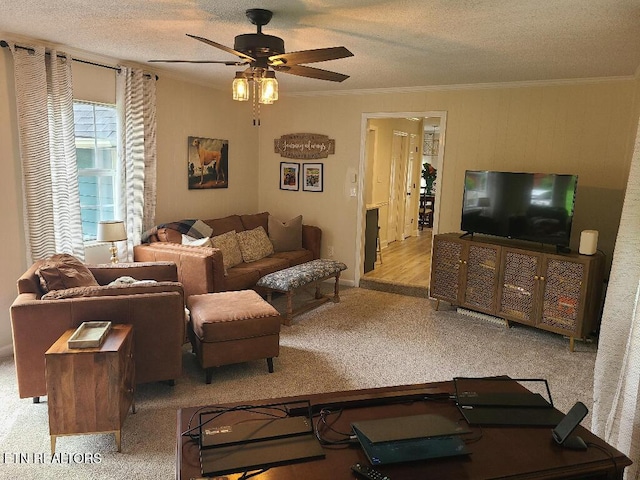 131 Chestnut Hill Rd, Oak Ridge, TN 37830 - carpeted living area with crown molding, a ceiling fan, and a textured ceiling