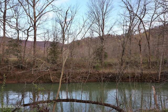 Brimstone Rd, Robbins, TN 37852 - photo 6