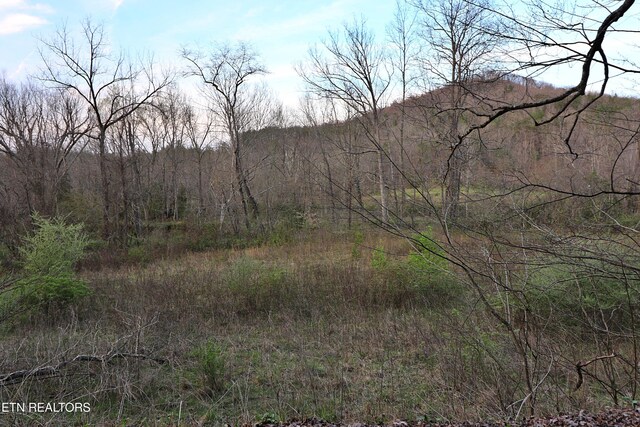 Brimstone Rd, Robbins, TN 37852 - photo 7