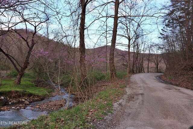 Brimstone Rd, Robbins, TN 37852 - photo 4