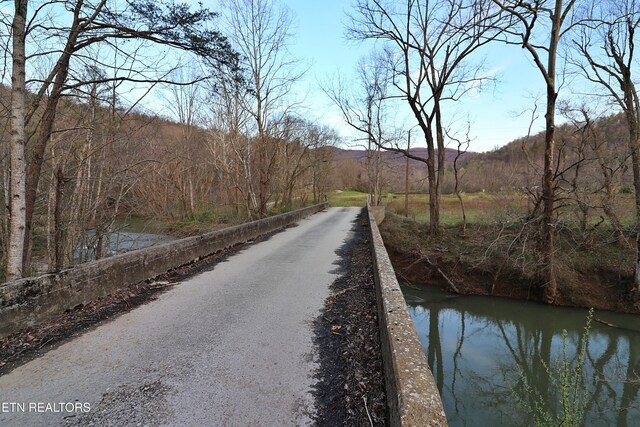 Brimstone Rd, Robbins, TN 37852 - photo 9