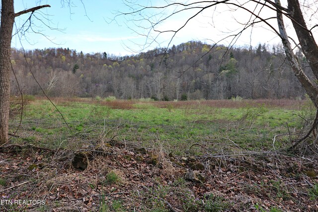 Brimstone Rd, Robbins, TN 37852 - photo 5