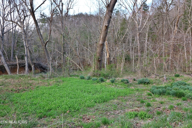 Brimstone Rd, Robbins, TN 37852 - photo 10