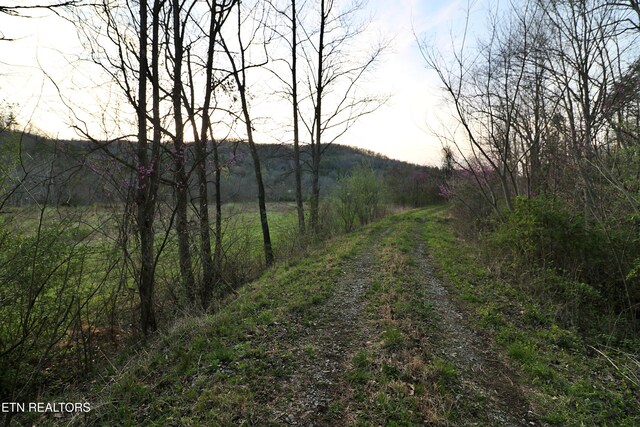 Brimstone Rd, Robbins, TN 37852 - photo 11