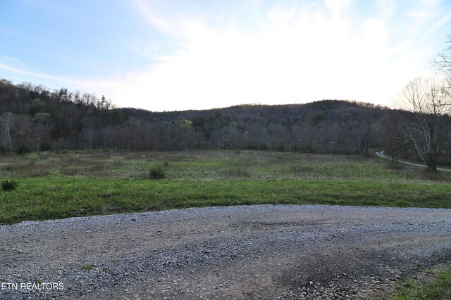 Brimstone Rd, Robbins, TN 37852 - photo 13