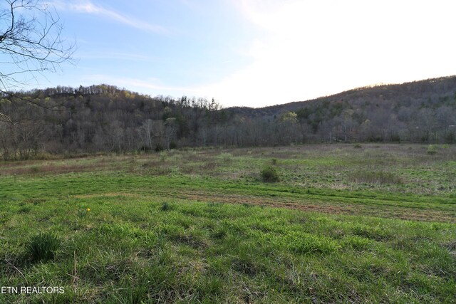Brimstone Rd, Robbins, TN 37852 - photo 14