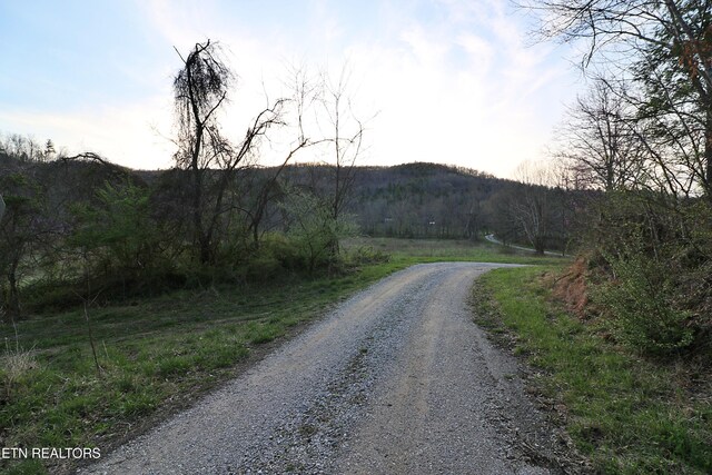 Brimstone Rd, Robbins, TN 37852 - photo 16