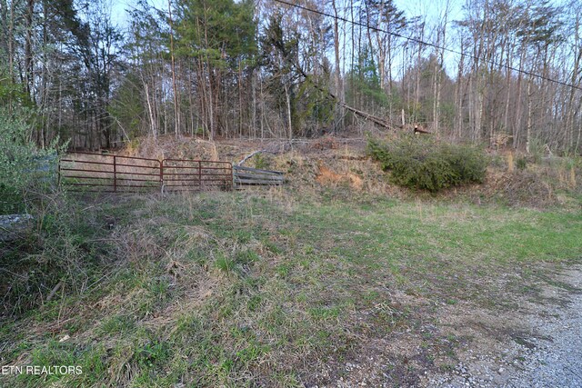Brimstone Rd, Robbins, TN 37852 - photo 17