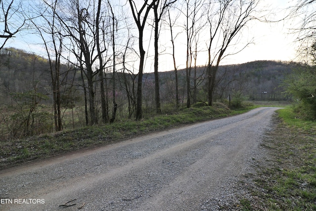 Brimstone Rd, Robbins, TN 37852 - photo 19