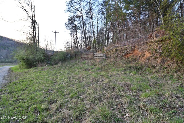 Brimstone Rd, Robbins, TN 37852 - photo 18