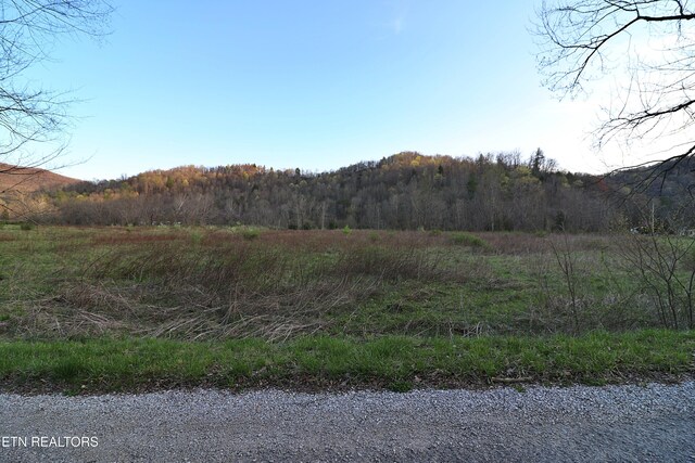 Brimstone Rd, Robbins, TN 37852 - photo 21