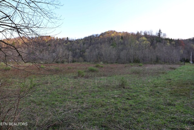 Brimstone Rd, Robbins, TN 37852 - photo 22