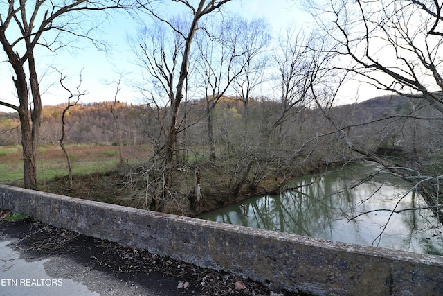 Brimstone Rd, Robbins, TN 37852 - photo 23