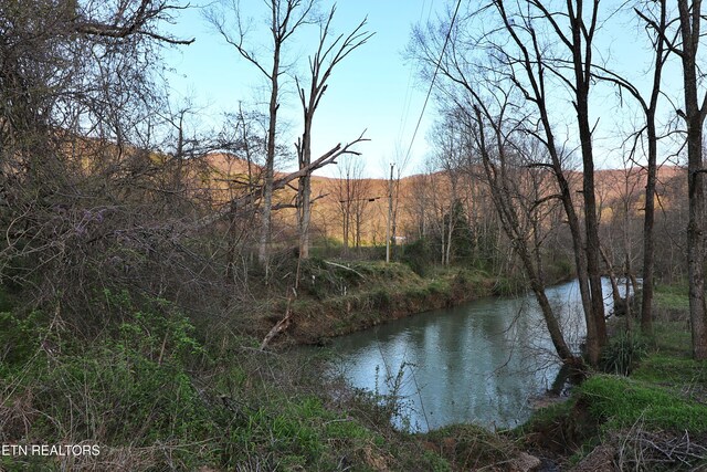 Brimstone Rd, Robbins, TN 37852 - photo 24