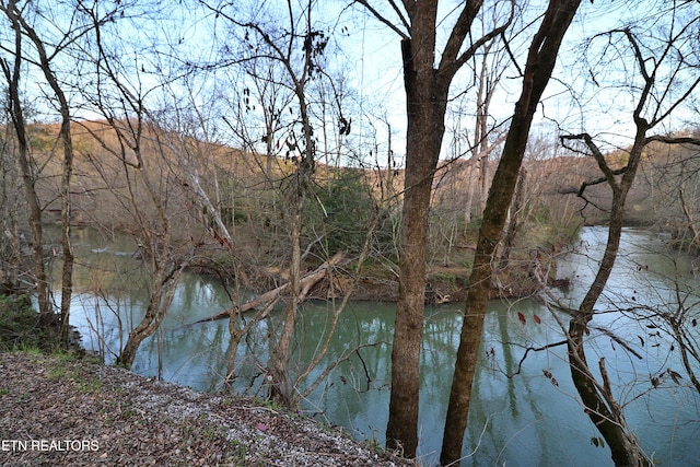 Brimstone Rd, Robbins, TN 37852 - photo 25