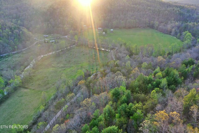 Brimstone Rd, Robbins, TN 37852 - photo 26