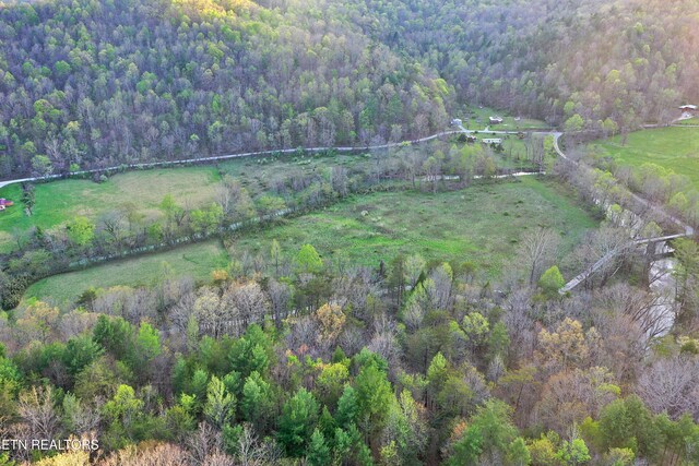 Brimstone Rd, Robbins, TN 37852 - photo 27