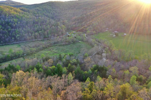 Brimstone Rd, Robbins, TN 37852 - photo 28