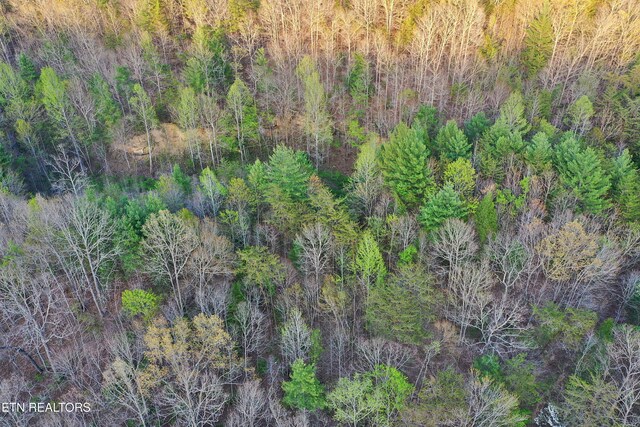 Brimstone Rd, Robbins, TN 37852 - photo 29