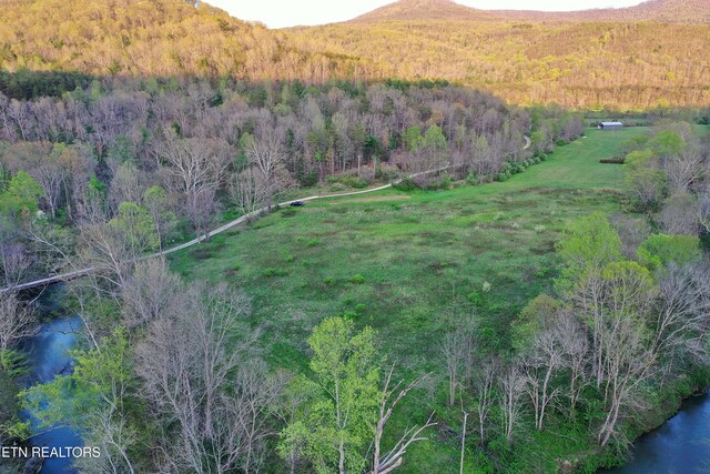 Brimstone Rd, Robbins, TN 37852 - photo 30