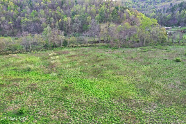 Brimstone Rd, Robbins, TN 37852 - photo 32