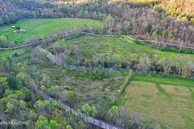 Brimstone Rd, Robbins, TN 37852 - photo 3