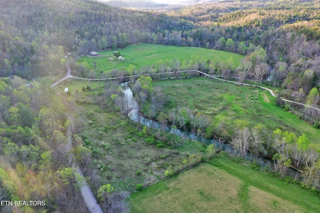 Brimstone Rd, Robbins, TN 37852 - photo 2