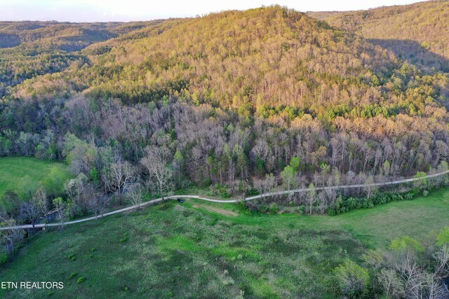Brimstone Rd, Robbins, TN 37852 - photo 33