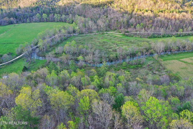 Brimstone Rd, Robbins, TN 37852 - photo 34