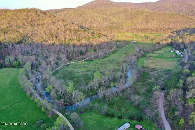 Brimstone Rd, Robbins, TN 37852 - photo 1