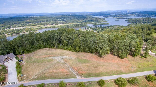 139 Highland Reserve Way, Kingston, TN 37763 - photo 4