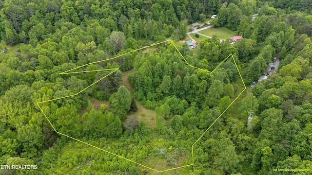 6010 Happy Valley Rd, Tallassee, TN 37878 - photo 3
