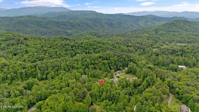 6010 Happy Valley Rd, Tallassee, TN 37878 - photo 5