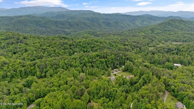 6010 Happy Valley Rd, Tallassee, TN 37878 - photo 6