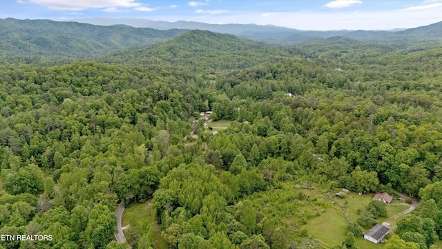 6010 Happy Valley Rd, Tallassee, TN 37878 - photo 7