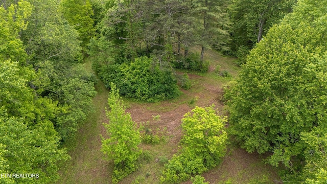 6010 Happy Valley Rd, Tallassee, TN 37878 - photo 8