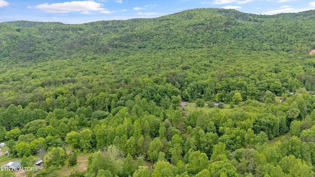 6010 Happy Valley Rd, Tallassee, TN 37878 - photo 1