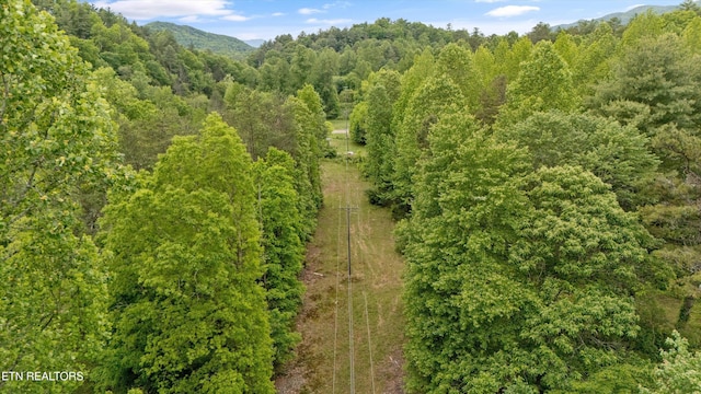 6010 Happy Valley Rd, Tallassee, TN 37878 - photo 9