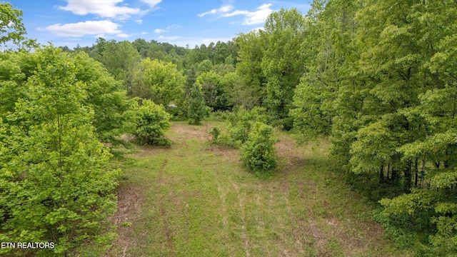 6010 Happy Valley Rd, Tallassee, TN 37878 - photo 10