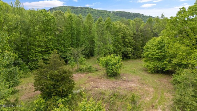 6010 Happy Valley Rd, Tallassee, TN 37878 - photo 11
