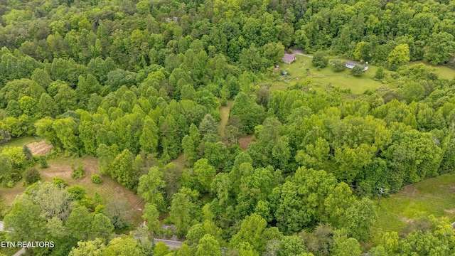 6010 Happy Valley Rd, Tallassee, TN 37878 - photo 13