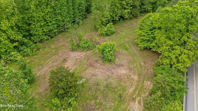 6010 Happy Valley Rd, Tallassee, TN 37878 - photo 14